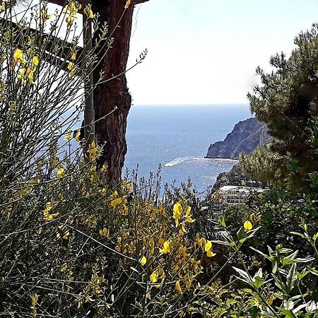 Villetta Rosetta Capri Eksteriør bilde