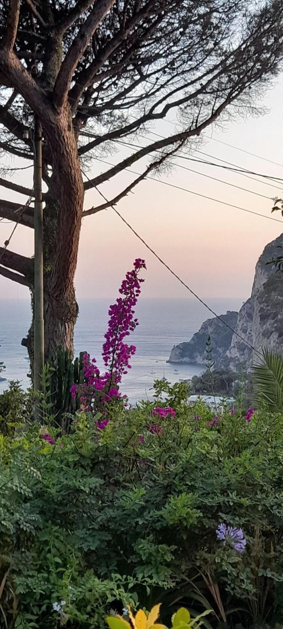 Villetta Rosetta Capri Eksteriør bilde