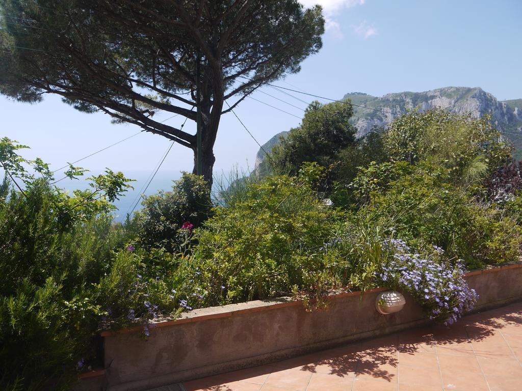 Villetta Rosetta Capri Eksteriør bilde